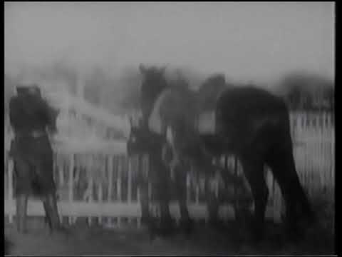 The Bandit King (1907)