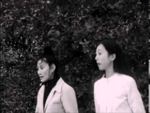 A Summer Family trailer