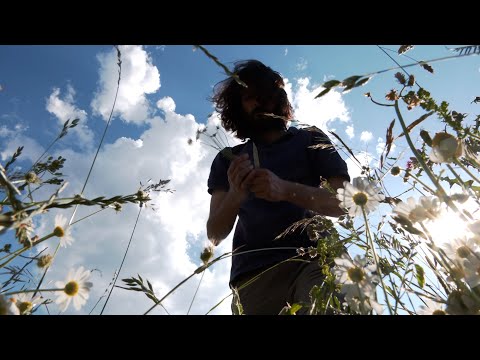 Stringless Puppets | Trailer