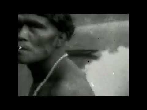 Trailer Os Mortos Resistirão Para Sempre H 264