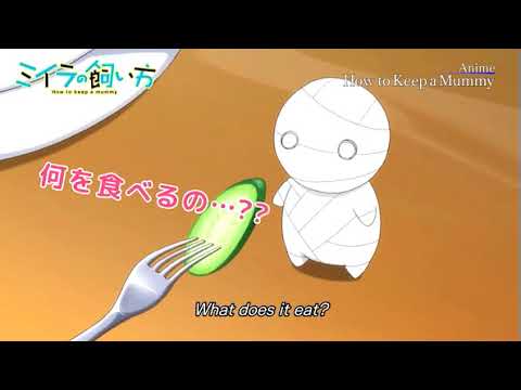 【Animation】How to keep a mummy (English subtitles Trailer)