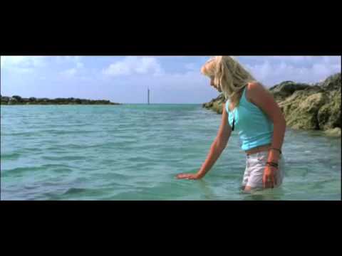 Eye of the Dolphin Trailer