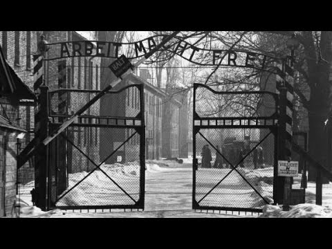 CNN Special Report: Voices of Auschwitz