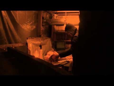 The Last Diary of Nikita Rose