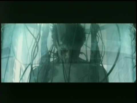 Natural City Trailer