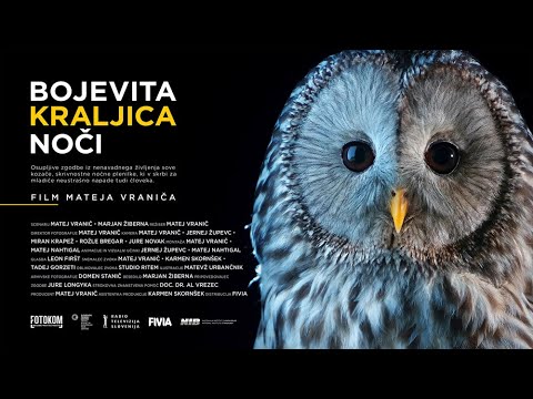 Bojevita kraljica noči | v kinu od 5.10.2024