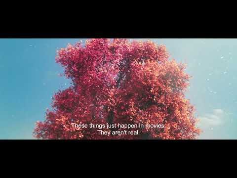 LAND OF THE DEAD DEER (15') Anahita Qarcheh, Soroush Javadzadeh / Iran 2025