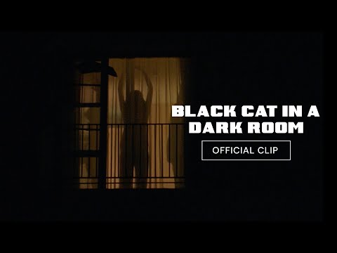 Black Cat in a Dark Room | Trailer