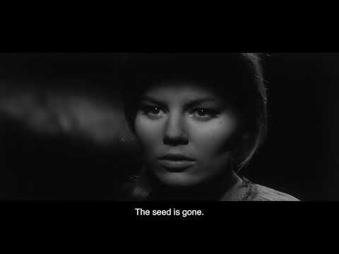 THE GOLDEN FERN (1963) Restoration Trailer