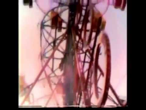 THE DEATH OF OCEAN VIEW PARK (TV MOVIE TRAILER)