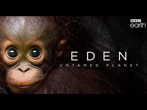 Trailer: «Eden: Untamed Planet»