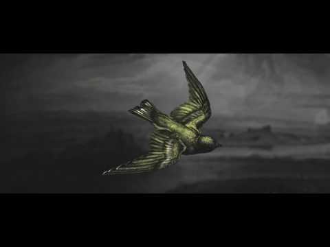 OFFICIAL CANARY TEASER #1