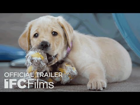 Official Trailer