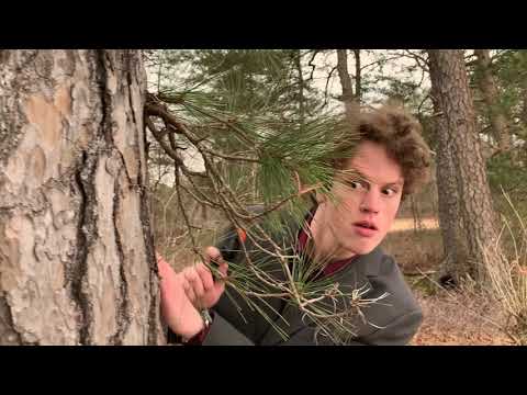 Pigs (2021) Official Trailer