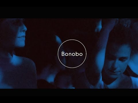 Bonobo : The North Borders Tour - Live.