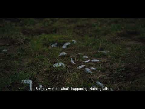 Excess Will Save Us | Clip de la película | IFFR 2022 | StyleFeelFree