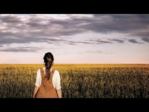 MODIFIED - OFFICIAL TRAILER