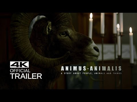 ANIMUS ANIMALIS (ISTORIJA APIE ŽMONES, ŽVĖRIS IR DAIKTUS) Treileris (2018)