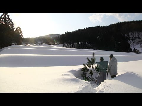 日本酒を造る人々を追ったドキュメンタリー！映画『一献の系譜』予告編