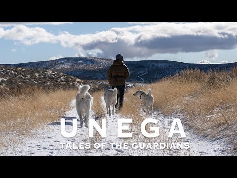 OFFICIAL TRAILER Unega | Tales Of The Guardians