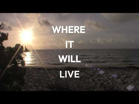 Where it Will Live Trailer