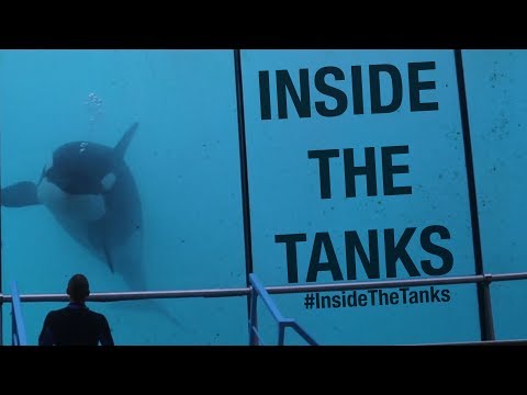 Inside The Tanks Documentary (Trailer)