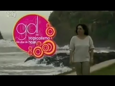 GAL - DO TROPICALISMO AOS DIAS DE HOJE (Parte 1)