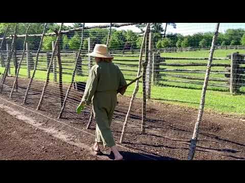 If anyone can put the 'G' back in HGTV, it's Martha Stewart.👩🏼‍🌾🌻