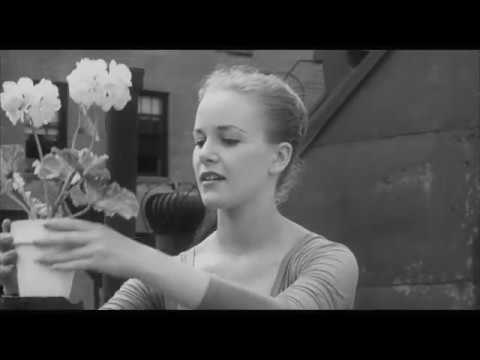 The Greenwich Village Story