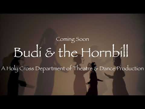 Coming Soon: Budi and the Hornbill