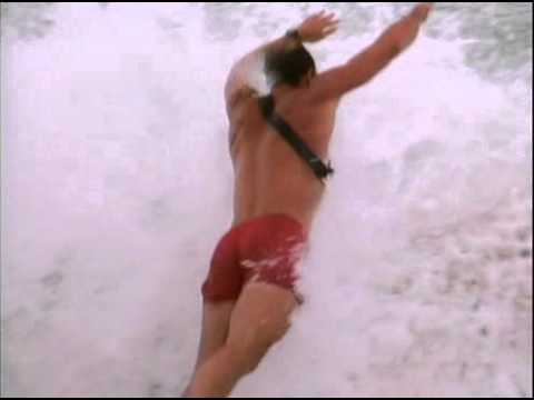 Baywatch S01E01 Panic At Malibu Pier DVDRip XviD