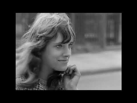 BRONCO BULLFROG Trailer