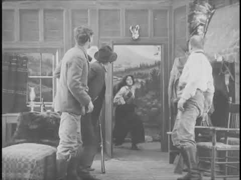 The Woman Hater (1910) Powers Picture Plays