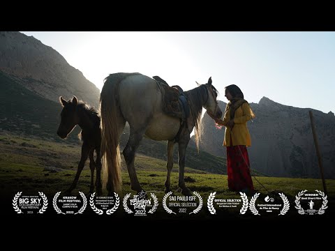 The Dream of a Horse   Trailer   2023