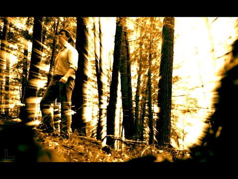 My Pet Brother (OAFISHAL TRAILAR) feat. SCOOTER GOD