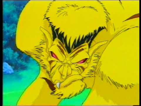 THE BEAUTY AND THE WARRIOR