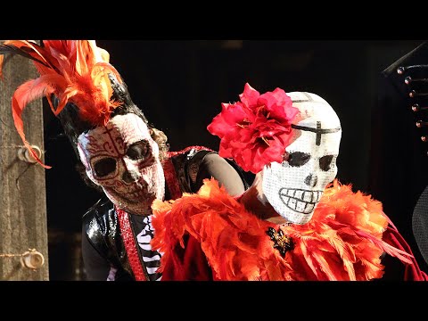 Janáček: From the House of the Dead | Frank Castorf & Simone Young | Munich 2019 (DVD/Blu-ray)