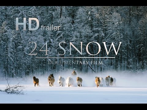 24 SNOW film trailer (ENG) / 24 СНЕГА