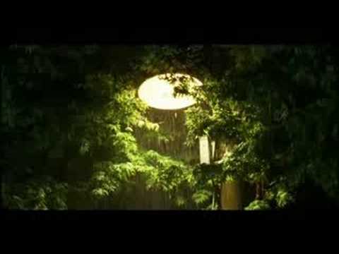 You Are My Sunshine trailer