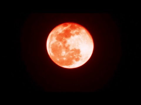 Spriggan (2019) | Official Trailer