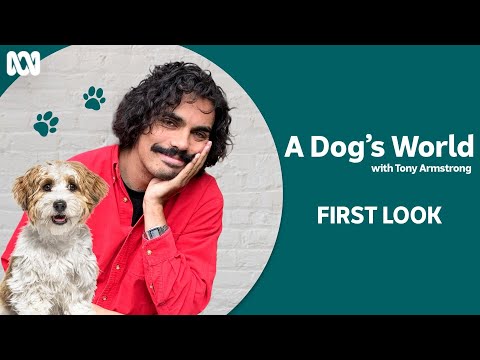A Dog's World with Tony Armstrong | First Look