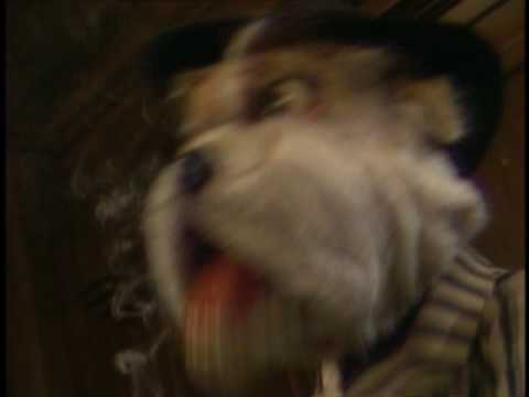 Trailer - Dog City - The Jim Henson Company