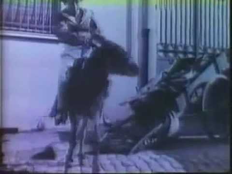 Tontolini e l'asino 1911