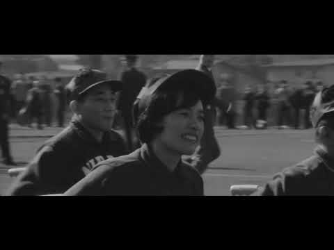 Tokyo Paralympics: Festival of Love and Glory - trailer