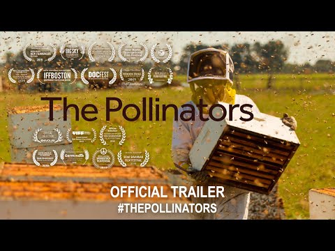 The Pollinators (2020) | Official Trailer HD