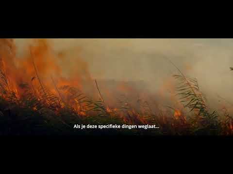 A TOMATO TRAGEDY (Nederlandse Filmacademie, Lichting 2023)