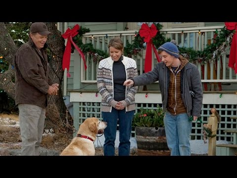 A Dog Named Christmas