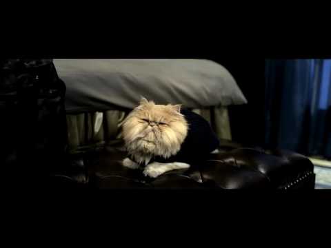 A Woman in the Shadow (夜魔人) (2016 film)