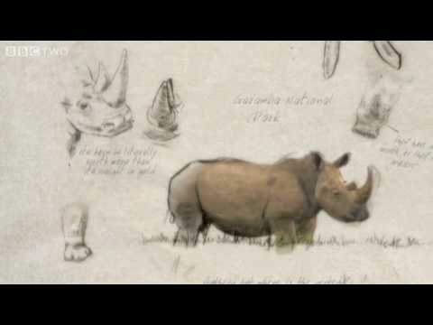 Last Chance to See Trailer - BBC Two