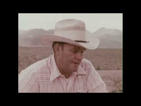 Salt - Essence Of Life (1979)